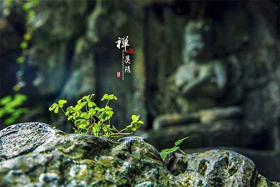 牧羊人網站建設匠人精神，幫助客戶在各行各行業建設網站